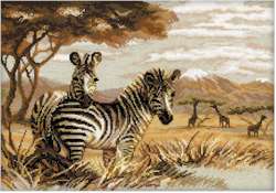 Zebras In The Savannah - Click Image to Close